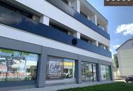 GESCHÄFTS- UND BÜROFLÄCHEN WIENER NEUSTADT