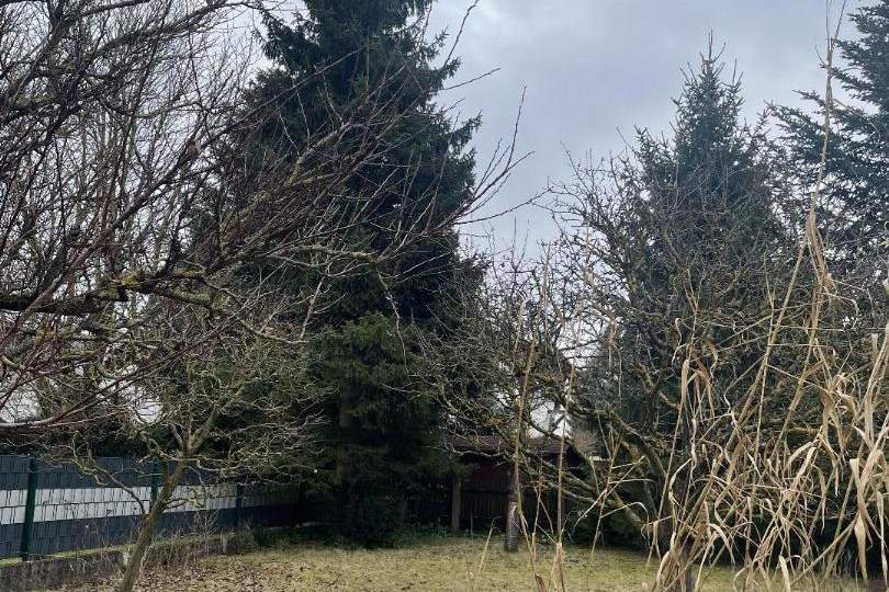 Solides Einfamilienhaus mit Keller im Herzen von Langholzfeld!, Haus-kauf, 4061 Linz-Land