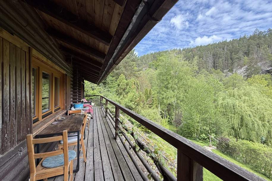 Einzigartige Grünruhelage an der Thaya! Reizendes Blockhaus mit Pferdestall, Haus-kauf, 419.000,€, 3762 Waidhofen an der Thaya