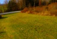 Baugrundstück in Ernegg – Traumhafte Aussichtslage am Stadtrand