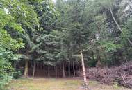 NATUROASE MIT WEITBLICK - WALDLAGE MIT POTENZIAL