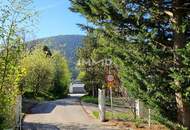 Ausblick - Ruhe - Natur - Design - Stil: Lichtdurchflutetes Architektenhaus mit Bestausstattung