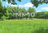 Großes Grundstück mit Fischteich und Badeteich, Erholungsanlage, Freizeitparadies mit viel Potenzial