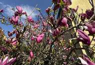 EINMALIGE CHANCE! Gemütliches Einfamilienhaus mit blickgeschütztem, großen Garten