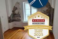 Bestandsfreies Zinshaus in der historischen Kremser Altstadt