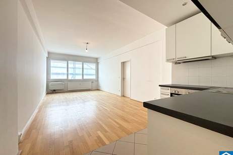 Laurenzi am Fluss, Wohnung-kauf, 260.000,€, 1010 Wien 1., Innere Stadt