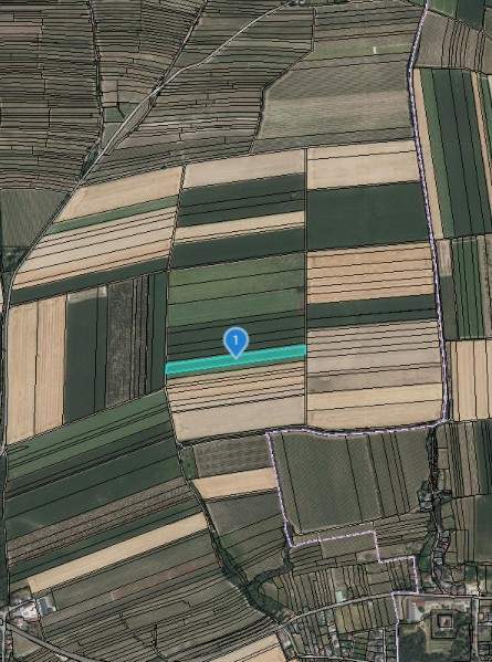 ACKERFLÄCHE IN FELS AM WAGRAM - ZUSAMMENHÄNGENDE LANDWIRTSCHAFTLICHE FLÄCHE