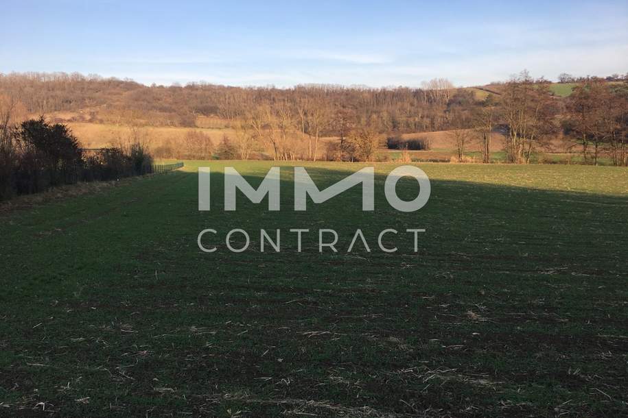 Verwirklichen Sie Ihr Traumhaus, Grund und Boden-kauf, 2123 Mistelbach