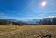 "Rarität im Zirbenland" Grundstück in St. Anna am Lavantegg