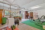 XXL Familienhaus in Jedenspeigen