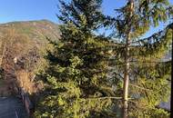 Schöner Blick auf die Schwarza