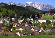 KLEINES HAUS BEIM SCHNEEBERG