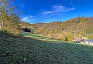 Großes an Bauland grenzendes Grünland-Grundstück bei Emmersdorf!
