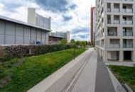 " DC-Living-Living the Dream "