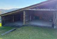 Wohnen in Aussichtslage mitten in der Natur auf 8 Ha. Grund, ehemalige Hofstelle!