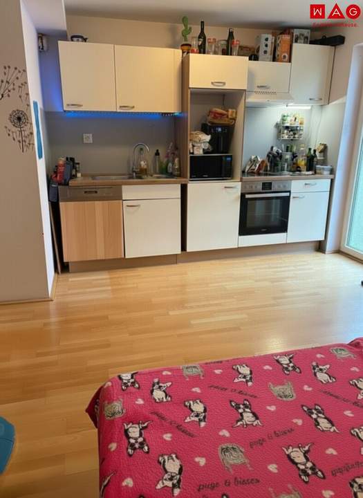 Großzügig wohnen mit Balkon – moderne 3-Zimmer-Wohnung ab Juli 2026