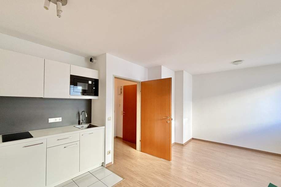 Schönes Single-Apartment nähe Augarten, Wohnung-miete, 595,00,€, 1200 Wien 20., Brigittenau