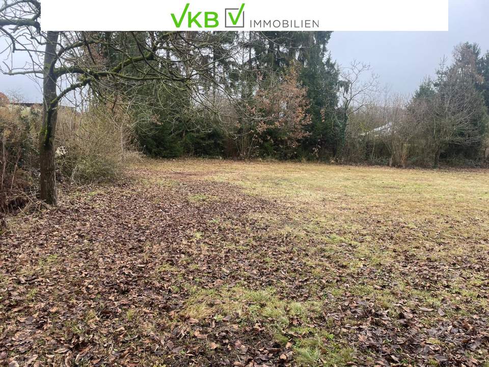 Landschaftliches Baugrundstück in Spattendorf – Gemeinde Alberndorf in der Riedmark