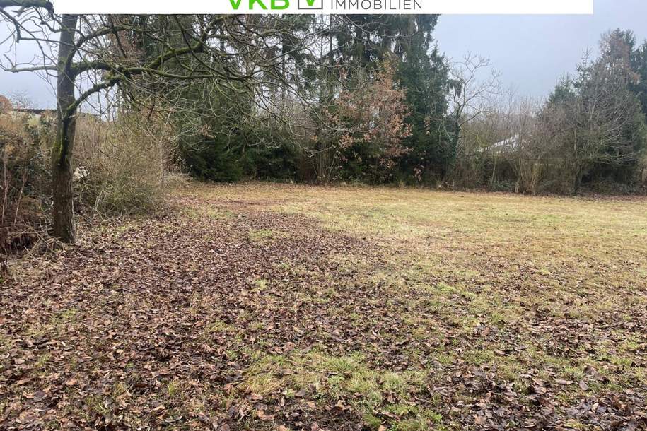 Landschaftliches Baugrundstück in Spattendorf – Gemeinde Alberndorf in der Riedmark, Grund und Boden-kauf, 170.000,€, 4211 Urfahr-Umgebung