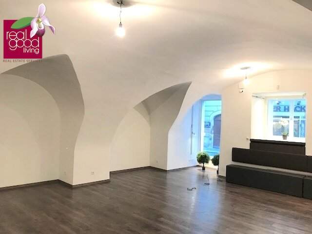 Exklusives Geschäftslokal in bester Lage von 1010 Wien – 170 m² zur Miete nahe Stephansplatz