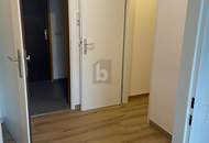 NEU RENOVIERTES WOHNJUWEL IN LINZ