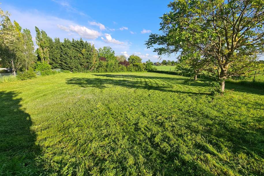 Grundstück in Toplage zum Vorzugspreis, Grund und Boden-kauf, 199.000,€, 7091 Eisenstadt-Umgebung