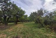 ,,Bauland und großer Obstgarten - Liegenschaft in Hornstein nahe Neufeldersee,,