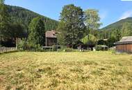 Sonniges Grundstück mit großem Potenzial in idyllischer Lage – Ihr Platz für neue Wohnträume in Neuberg an der Mürz