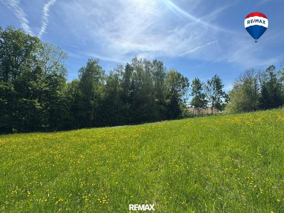 Attraktives Baugrundstück in idyllischer Waldrandlage | Am Sommerberg, Aschach an der Donau | Ohne Bauzwang
