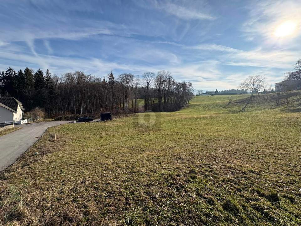 WOHNEN AUF HÖCHSTEM NIVEAU, KEIN BAUZWANG - SÜDHANG IN RUHELAGE MIT ZENTRUMSNÄHE