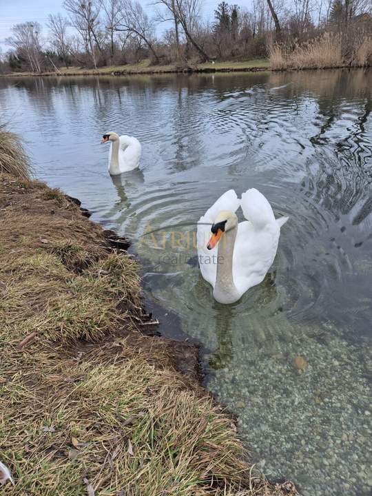 Baugrundstück auf EIGENGRUND mit vielen Möglichkeiten – Mühlwasser