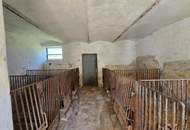 Rarität "Vierkanter" direkt neben dem Golfplatz