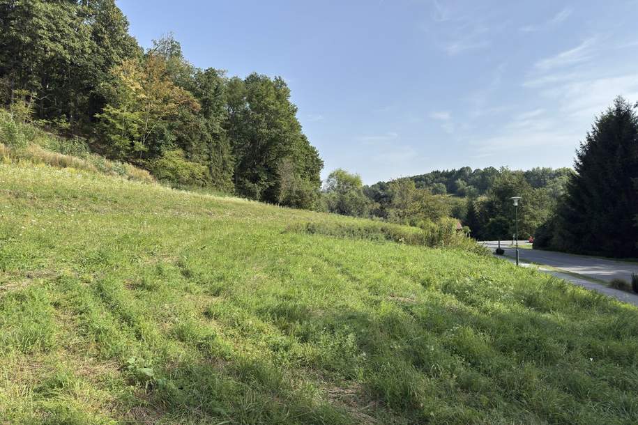 Stegersbach: Baugrundstück in direkter Nähe zu Golfplatz, Therme und Hotels, Grund und Boden-kauf, 64.540,€, 7551 Güssing