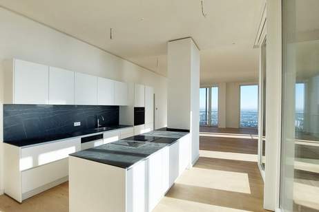 ***PENTHOUSE mit Blick über Wiens Innenstadt!*** Pool, Fitness & Sauna inkl., Wohnung-miete, 1.940,00,€, 1220 Wien 22., Donaustadt