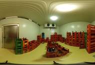 Großes Haus für Visionäre in Aussichtslage (Buschenschank, Weingärten)