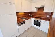 FERNBLICK, TERRASSENHIT, 61 m2 Dachgeschoß mit 48 m2 Terrasse, Wohnküche, 1 Zimmer, Wannenbad, Parketten, Holbeingasse