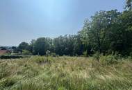 Zwei Baugrundstücke mit angrenzender Waldfläche in Hartberg – Am Brühlbach