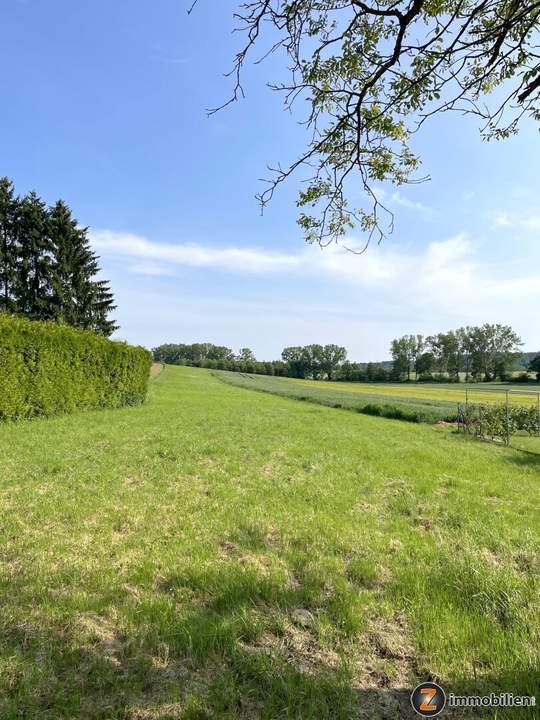 NEUER PREIS! Litzelsdorf: Grundstück in Ruhelage ohne Bauzwang