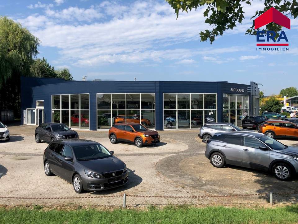 Kooperation gesucht - Teilanmietung - Moderner KFZ Betrieb in Mistelbach