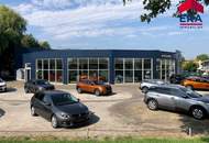 Kooperation gesucht - Teilanmietung - Moderner KFZ Betrieb in Mistelbach