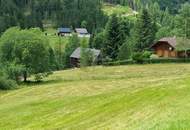 Traumhaftes Baugrundstück in Donnersbachwald Nähe Riesneralm (Provisionsfrei)