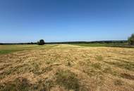 Neuer Preis! Ländliches Traumobjekt – Einfamilienhaus, Streckhof & Stallungen