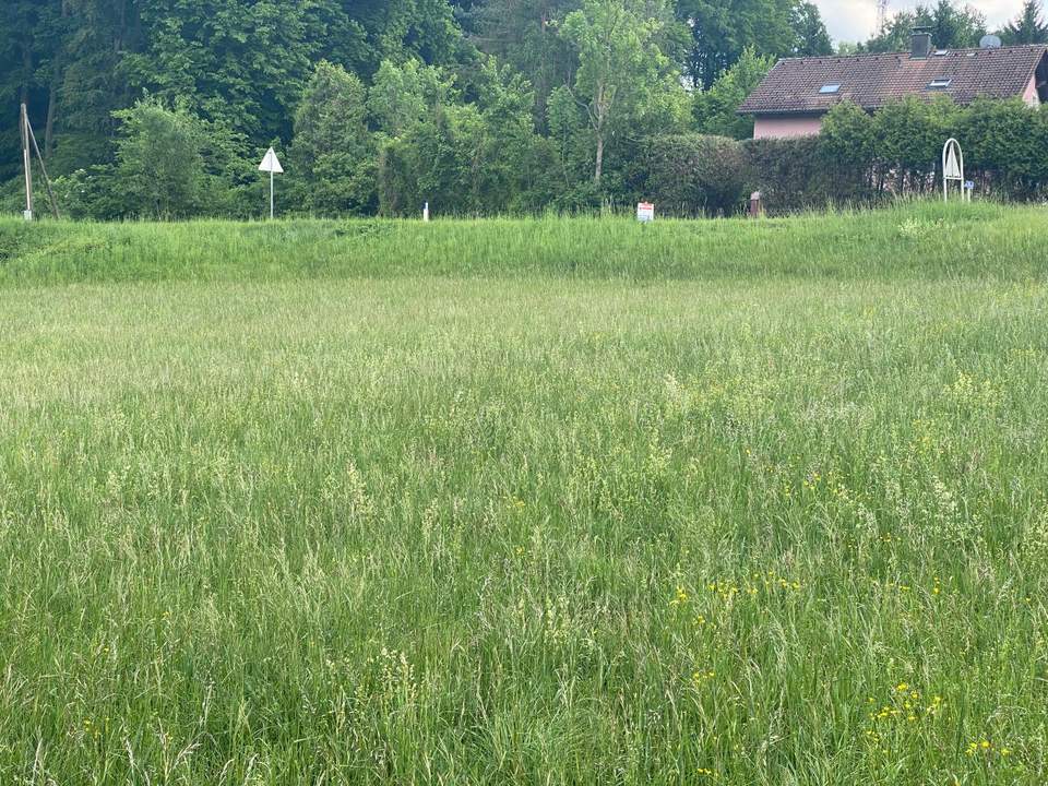 " Baugrund Eigenheim in Ried am Riederberg ohne Bauzwang - Leben im Wienerwald "