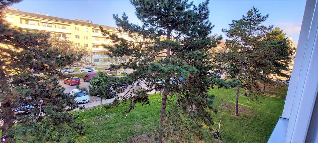 Ein Katzensprung zur U2 und zum Mühlwasser!