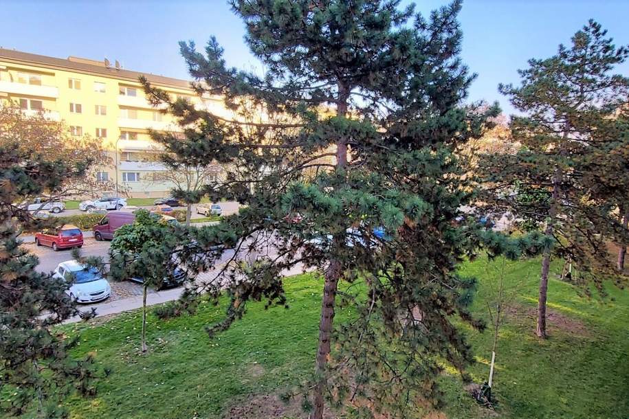 Ein Katzensprung zur U2 und zum Mühlwasser!, Wohnung-miete, 999,85,€, 1220 Wien 22., Donaustadt