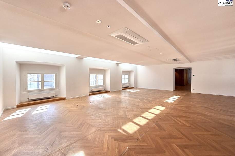 360 TOUR // PALAIS - BÜRO HARRACH, Gewerbeobjekt-miete, 28.936,05,€, 1010 Wien 1., Innere Stadt