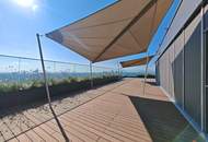 Grünblick beim Stadion