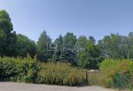 Großes Grundstück mit Waldbestand