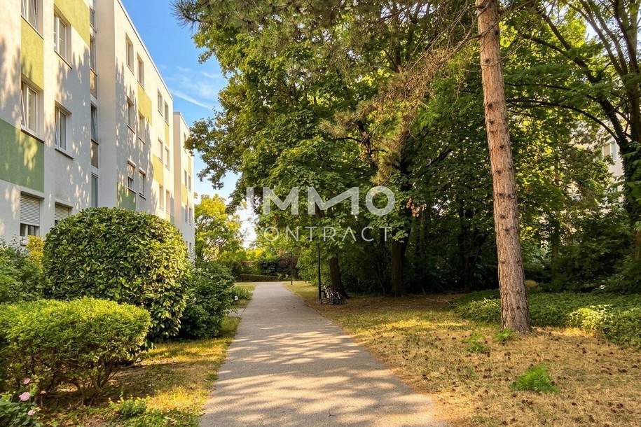 Helle 3-Zi-Wohnung mit Loggia in toller Grünruhelage, Wohnung-kauf, 279.000,€, 2344 Mödling