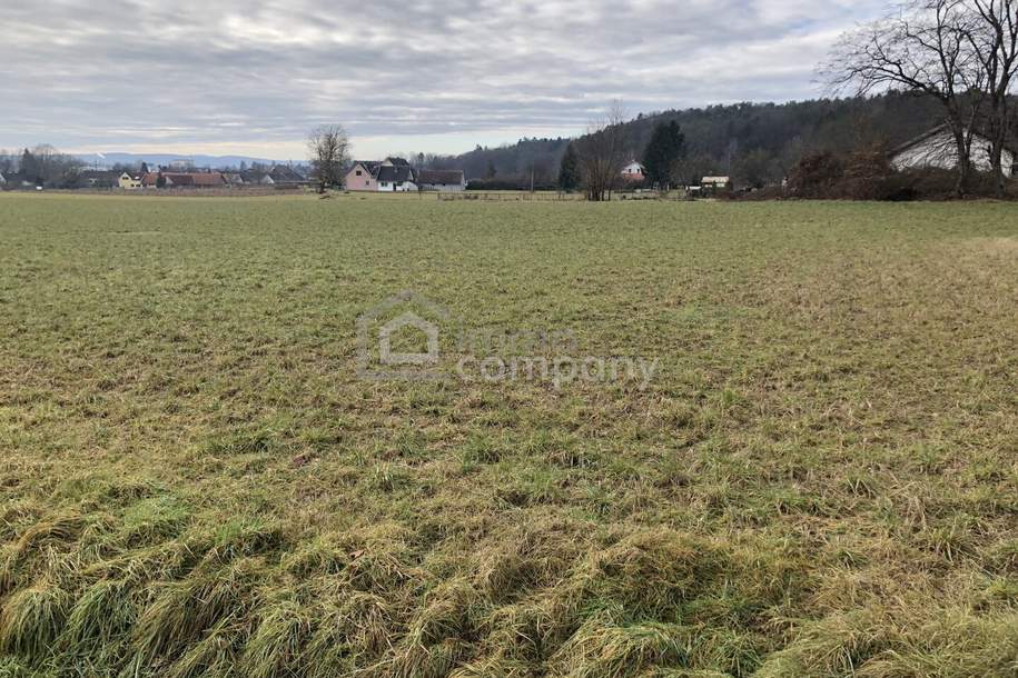 Baugrund nahe Jennersdorf, Grund und Boden-kauf, 8380 Jennersdorf